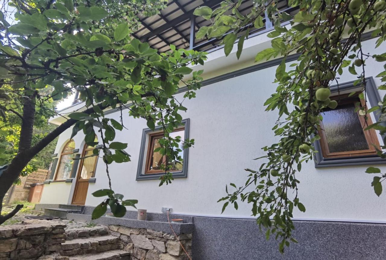 מלון קורבני Vila Zia מראה חיצוני תמונה